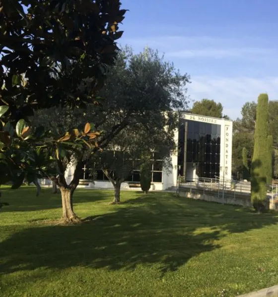 Le parc de la Fondation : pelouse, oliviers et cyprès devant le bâtiment de l'accueil de jour